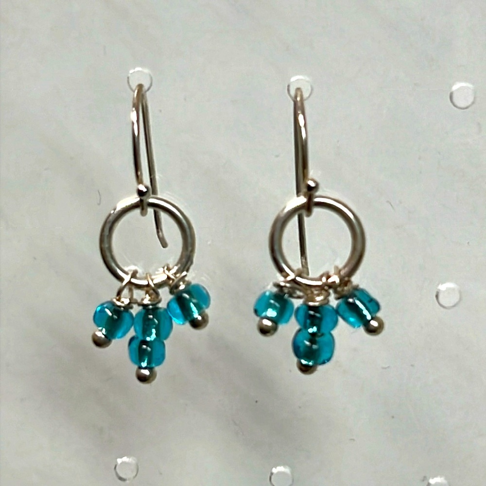 Sterling silver French hook dangle earrings